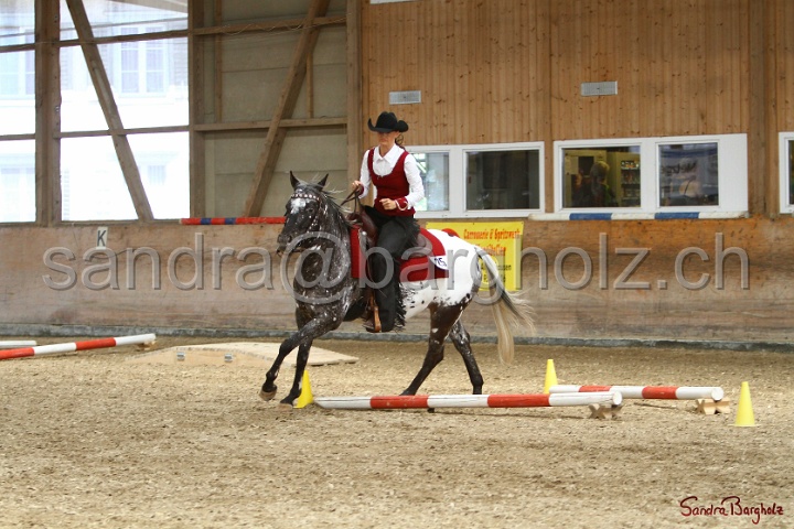 28-ApHC OT_277.jpg